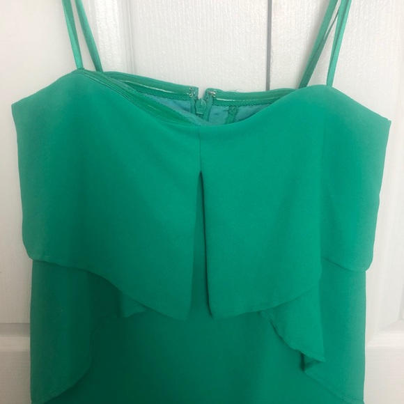 BCBG Maxazria Runway Dress - Picture 2 of 4